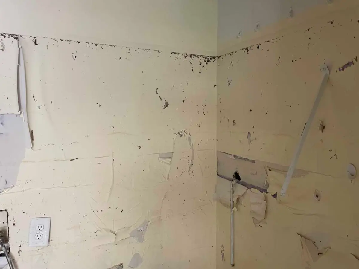 Paint peeling from a wall — a visible symptom of moisture trapped behind the surface