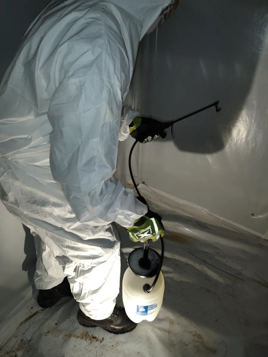 OCI Restoration technician applying antimicrobial treatment during mold remediation