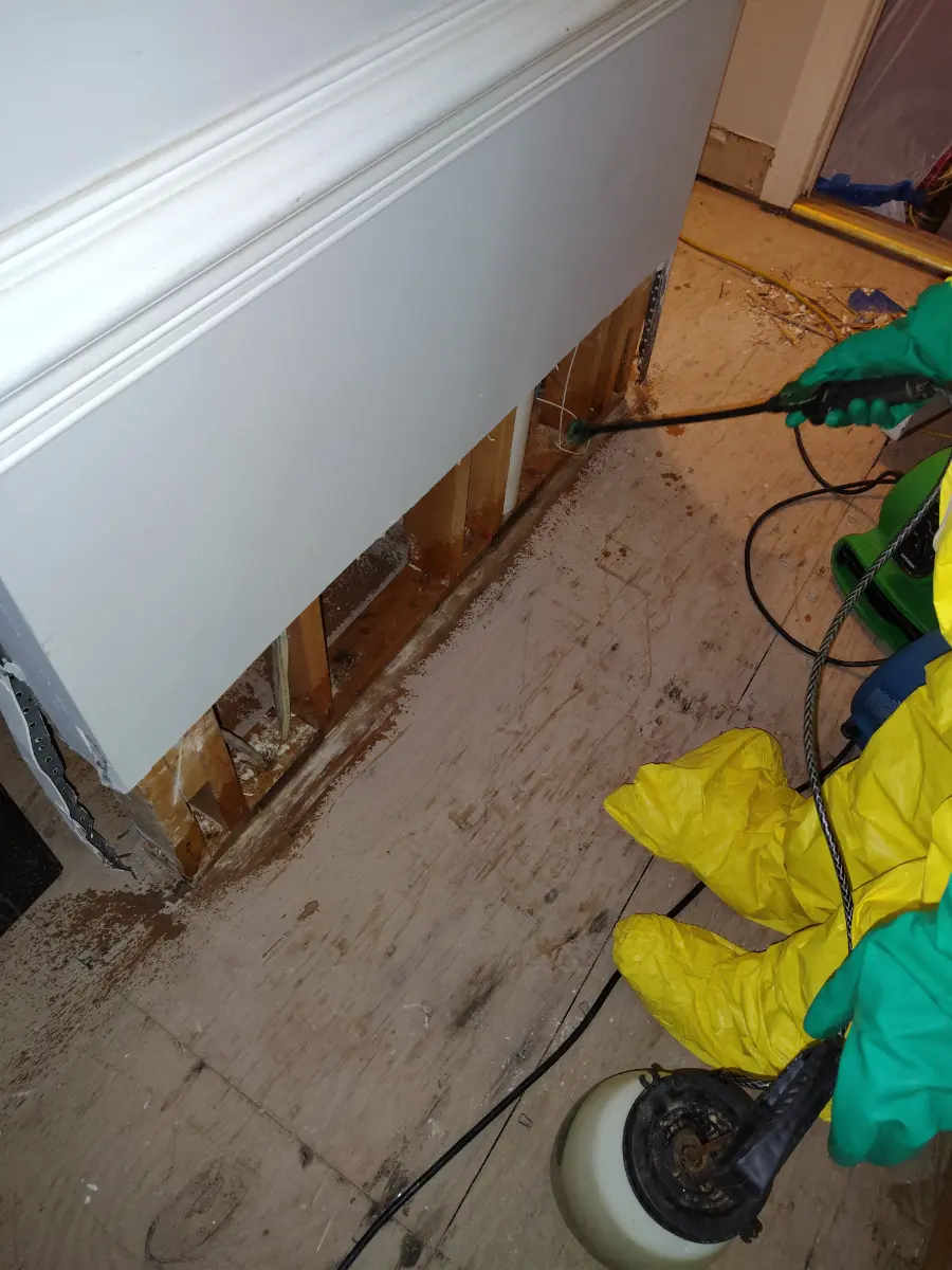 OCI Restoration technician applying antimicrobial treatment to exposed wall framing